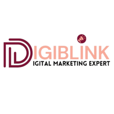 Digi Blink Logo